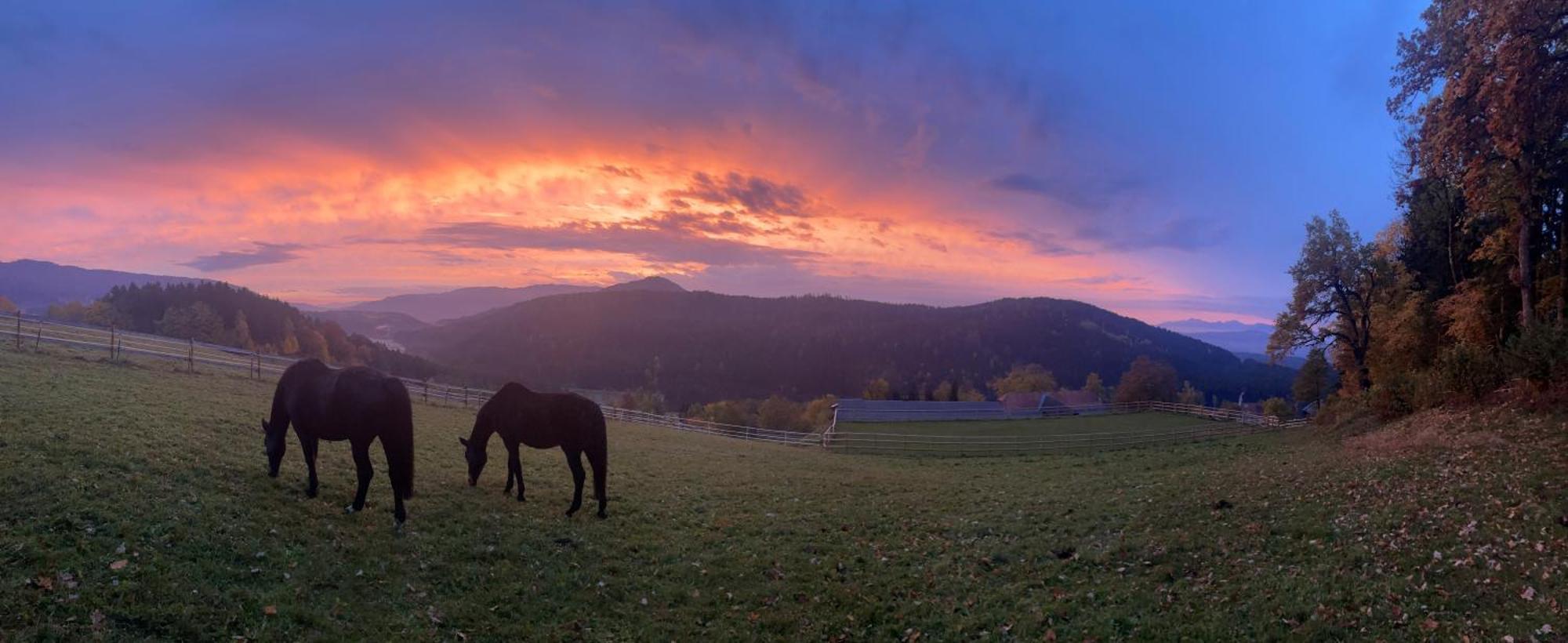 Little Farm *